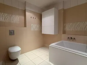 Pronájem bytu 3+kk, Praha - Karlín, Rohanské nábřeží, 133 m2