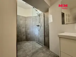Pronájem bytu 1+kk, Ostrava, Zámecká, 49 m2