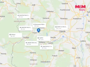 Prodej lesa, Kosov, 467 m2