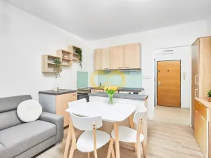Prodej bytu 2+kk, Písek, Budovatelská, 40 m2