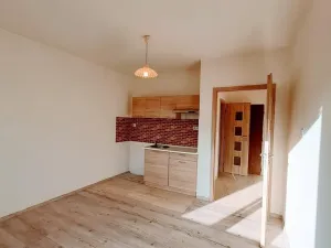Pronájem bytu 1+kk, Ústí nad Labem - Ústí nad Labem-centrum, Stará, 20 m2