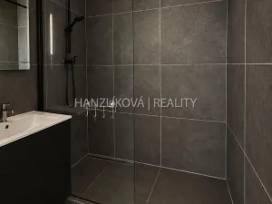 Pronájem bytu 2+1, České Budějovice - České Budějovice 2, J. Opletala, 72 m2