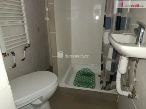 Pronájem rodinného domu, Lety, U viaduktu, 110 m2