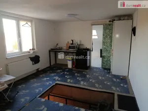 Pronájem rodinného domu, Lety, U viaduktu, 110 m2