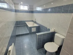 Prodej rodinného domu, Žabovřesky nad Ohří, Ke dráze, 200 m2