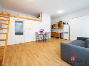 Prodej bytu 1+kk, Praha - Žižkov, Rokycanova, 30 m2