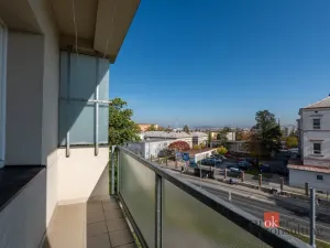 Prodej bytu 3+1, Plzeň - Jižní Předměstí, Arbesova, 71 m2
