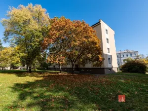 Prodej bytu 3+1, Plzeň - Jižní Předměstí, Arbesova, 71 m2
