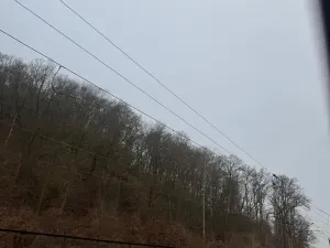 Prodej lesa, Ústí nad Labem, 9837 m2