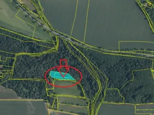 Prodej lesa, Kralupy nad Vltavou, 2714 m2