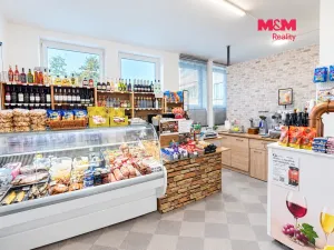Pronájem obchodního prostoru, Praha, Hartigova, 53 m2