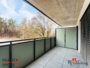 Pronájem bytu 1+kk, Brno - Jehnice, Kleštínek, 56 m2