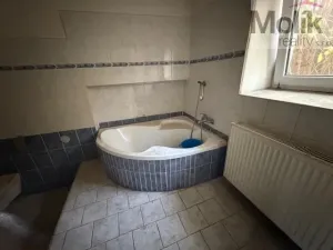 Prodej rodinného domu, Terezín - České Kopisty, 1041 m2