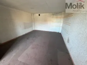 Prodej rodinného domu, Terezín - České Kopisty, 1041 m2