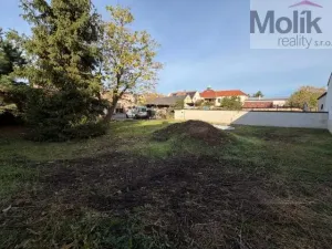 Prodej rodinného domu, Terezín - České Kopisty, 1041 m2