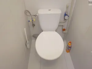 Prodej bytu 3+1, Louny, Prof. Krátkého, 63 m2