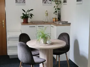 Pronájem kanceláře, Ostrava - Přívoz, Fügnerova, 34 m2