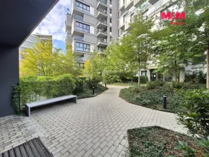 Pronájem bytu 1+kk, Praha - Strašnice, Ramonova, 27 m2