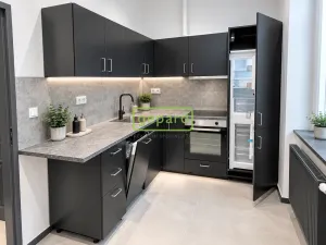 Pronájem bytu 2+kk, Praha - Nusle, Vladimírova, 47 m2