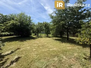 Prodej rodinného domu, Libáň - Psinice, 100 m2