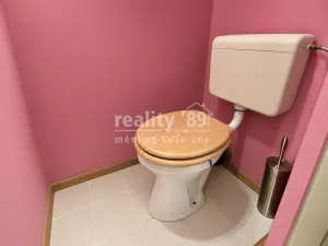 Prodej bytu 3+1, Praha - Žižkov, Biskupcova, 74 m2