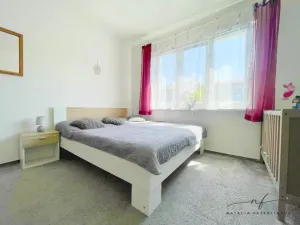 Pronájem bytu 2+1, Ostrov, S. K. Neumanna, 64 m2