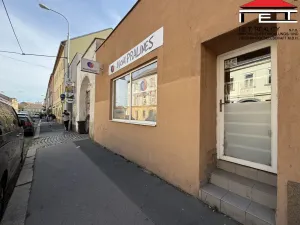 Pronájem obchodního prostoru, Brno, Václavská, 40 m2