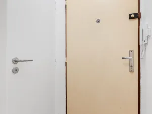 Pronájem bytu 1+kk, Praha - Žižkov, Pod lipami, 20 m2