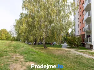 Prodej bytu 3+1, Třebíč, Okružní, 68 m2