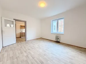 Pronájem bytu 1+1, Plzeň, Sladkovského, 37 m2
