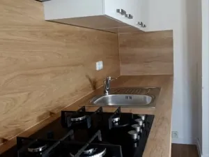 Pronájem bytu 2+kk, Ostrava - Moravská Ostrava, Zelená, 45 m2