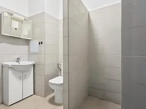 Pronájem bytu 1+1, Krnov - Pod Cvilínem, Svatováclavská, 40 m2
