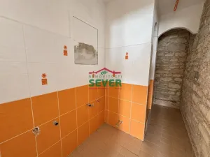 Prodej rodinného domu, Mšené-lázně - Ječovice, 200 m2