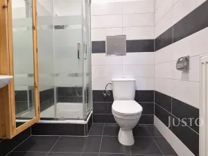 Prodej bytu 2+kk, Písek - Pražské Předměstí, Pražská, 72 m2