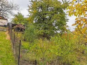 Prodej zahrady, Olomouc, 710 m2