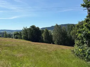 Prodej louky, Háje nad Jizerou, 3927 m2