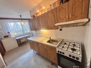 Prodej bytu 3+1, Litovel, Novosady, 71 m2