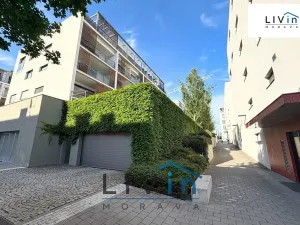 Pronájem bytu 1+kk, Olomouc, Rokycanova, 43 m2