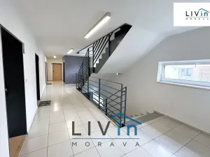 Pronájem bytu 1+kk, Olomouc, Rokycanova, 43 m2
