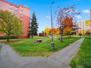 Prodej bytu 2+1, Chotěboř, Břevnická, 54 m2