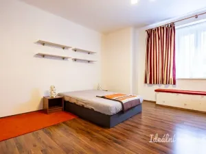 Pronájem bytu 1+kk, Praha - Žižkov, Viklefova, 38 m2