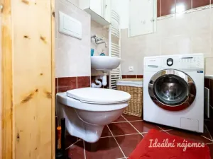 Pronájem bytu 1+kk, Praha - Žižkov, Viklefova, 38 m2