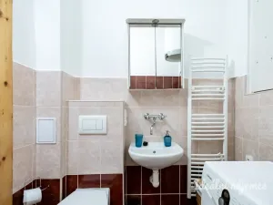 Pronájem bytu 1+kk, Praha - Žižkov, Viklefova, 38 m2