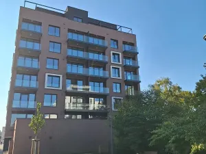 Pronájem bytu 1+kk, Praha - Karlín, Švarcova, 31 m2