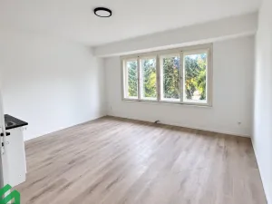 Pronájem bytu 1+kk, Praha - Libeň, Na Truhlářce, 27 m2