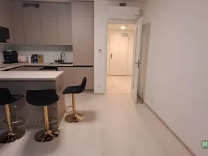 Pronájem bytu 2+kk, Praha - Žižkov, Šrámkové, 71 m2