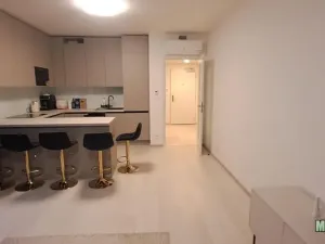 Pronájem bytu 2+kk, Praha - Žižkov, Šrámkové, 71 m2