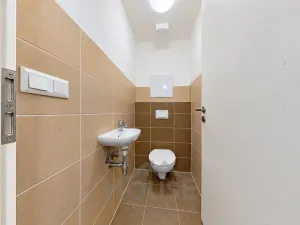 Prodej bytu 2+kk, Praha - Žižkov, Olgy Havlové, 66 m2