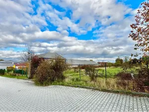 Prodej komerčního pozemku, Tachlovice, 6000 m2