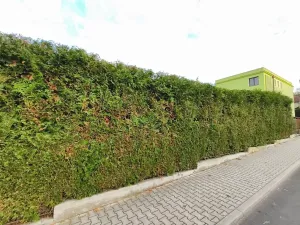 Prodej rodinného domu, Kozolupy, 180 m2